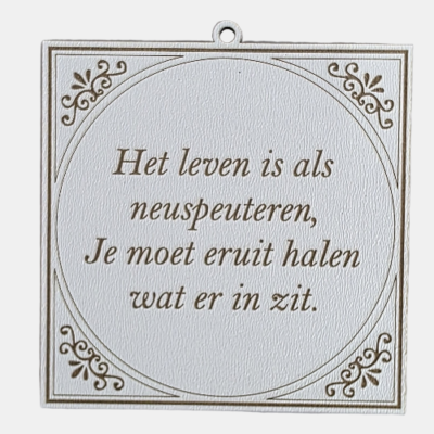 Het leven is als neuspeuteren, je moet eruit halen wat er in zit Tegeltje met de spreuk: "Het leven is als neuspeuteren, je moet eruit halen wat er in zit."