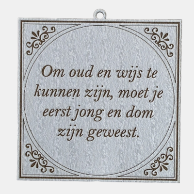 Eerst jong en dom, dan oud en wijs Tegeltje met de spreuk: "Om oud en wijs te kunnen zijn, moet je eerst jong en dom zijn geweest."