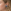 Close-up van een model met blond, golvend haar dat een felblauwe wolk oorsteker draagt.