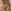 Lifestyle weergave handgemaakte ronde blauwe oorbellen Close-up van een vrouw met blond haar die een ronde blauwe epoxy oorbel draagt met een donkerpaars organisch detail