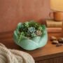 Handgemaakte epoxy lotus vetplantenpot in groene glitter finish Handgemaakte groene lotus-vormige epoxy bloempot gevuld met diverse kleine vetplanten op een houten nachtkastje in een sfeervolle slaapkamer.