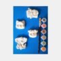 Diy Schilderpakket van porseleingips figuren met penselen en verf